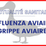 Influenza Aviaire