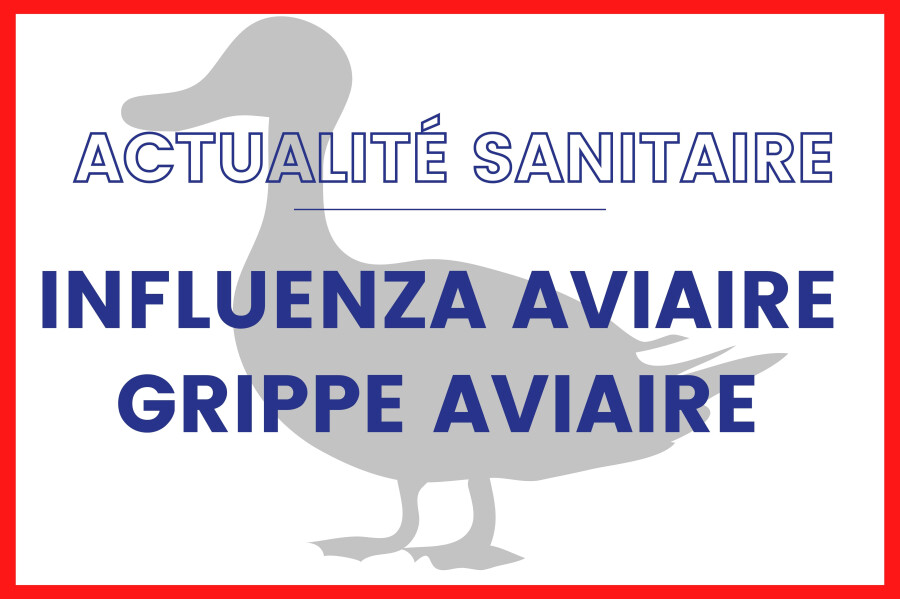 Influenza aviaire ou grippe aviaire