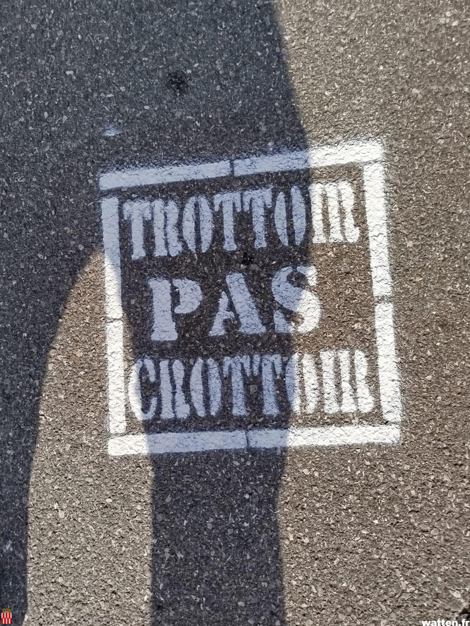 « Trottoir pas crottoir », merci aux propriétaires de chien de nettoyer derrière vous!