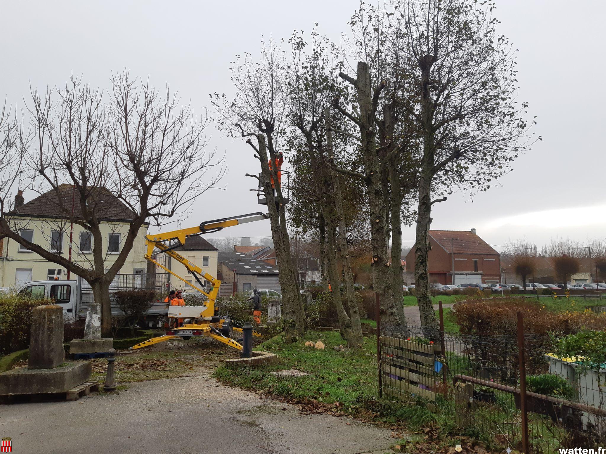 Travaux d’élagage place du Rivage et salle St-Gilles par le Sivom